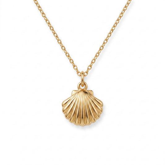 shell necklace​

