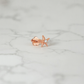 Starfish Stud Earring • Diamond Starfish Labret, Cartilage Helix Earring