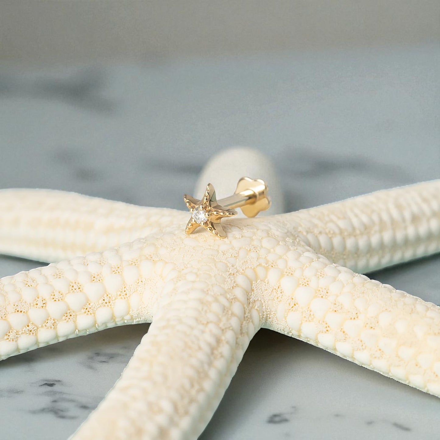 Starfish Stud Earring • Diamond Starfish Labret, Cartilage Helix Earring