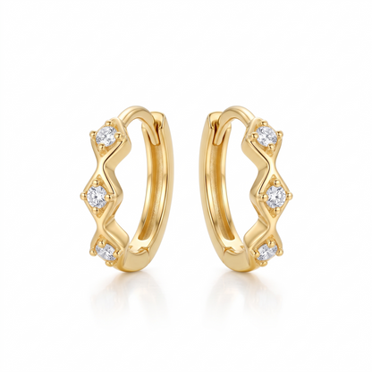 huggie hoop earrings​


