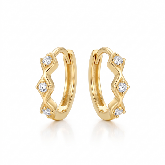 huggie hoop earrings​

