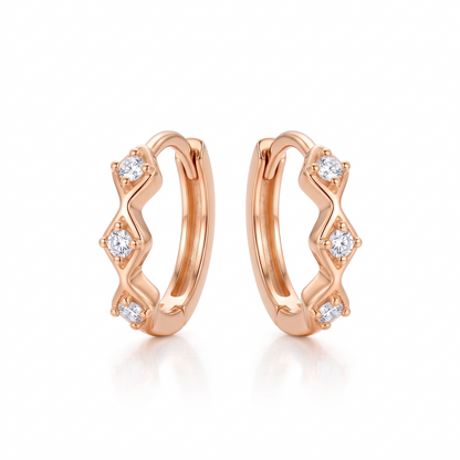 earrings huggie hoops​

