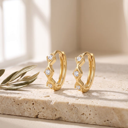 huggie hoop earrings​

