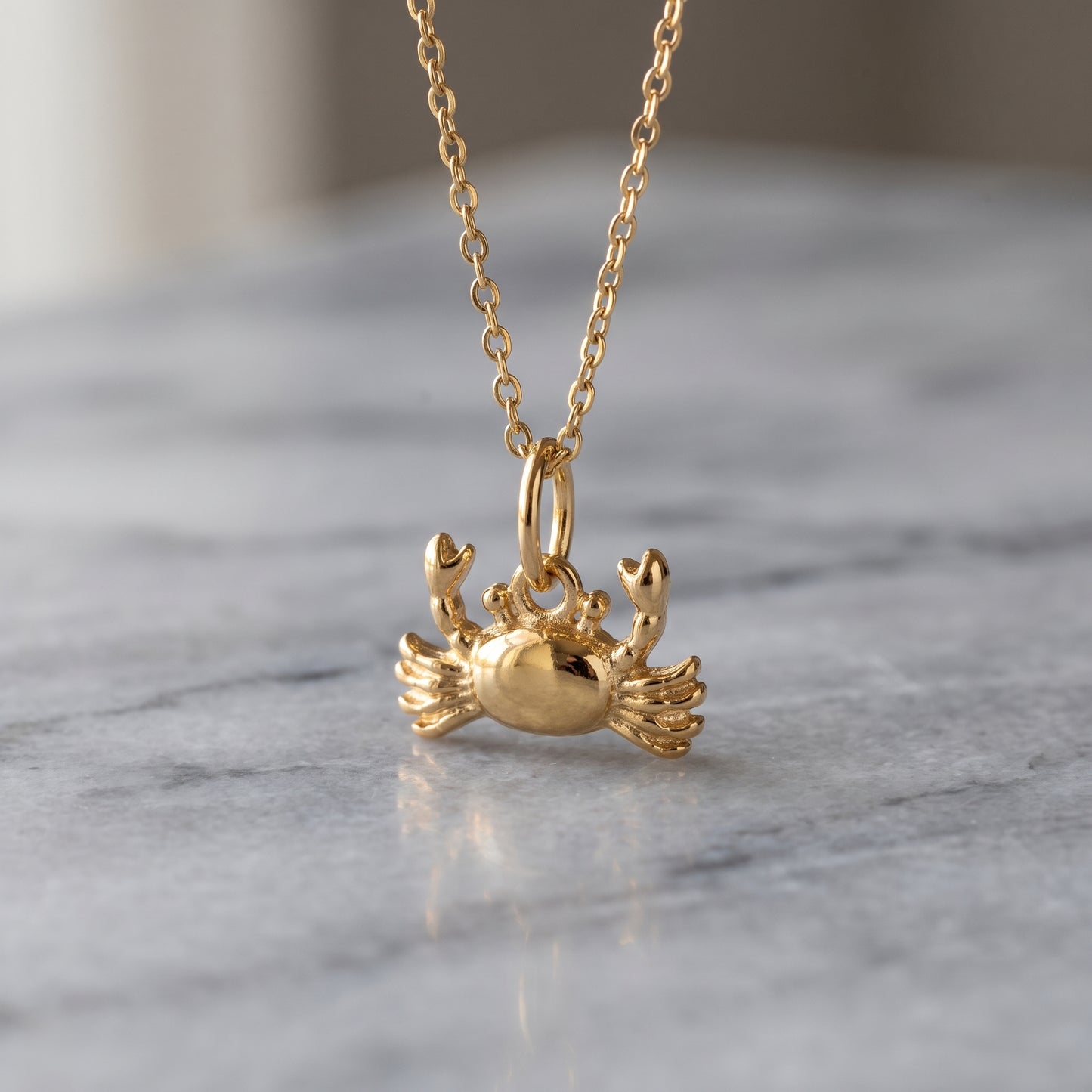 14K Gold Cancer Zodiac Crab Pendant Necklace for Women
