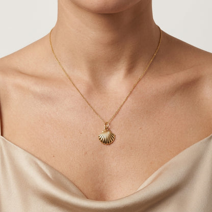 Seashell Pendant Necklace, 14K Gold Shell Necklace