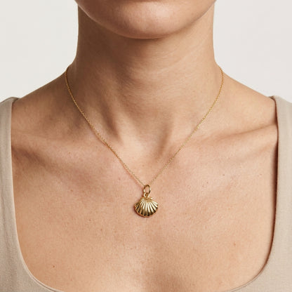 Seashell Pendant Necklace, 14K Gold Shell Necklace