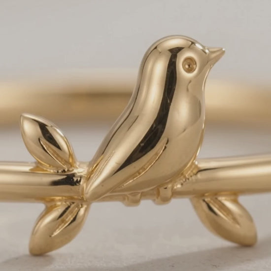bird ring​s

