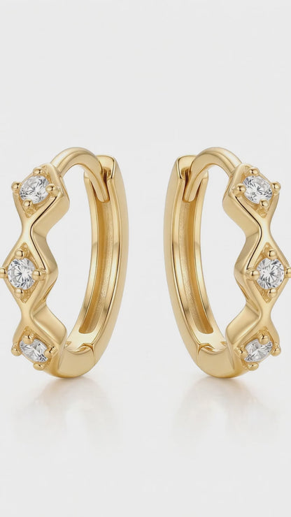 huggie earring hoops​

